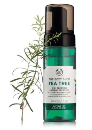 Body Shop 2