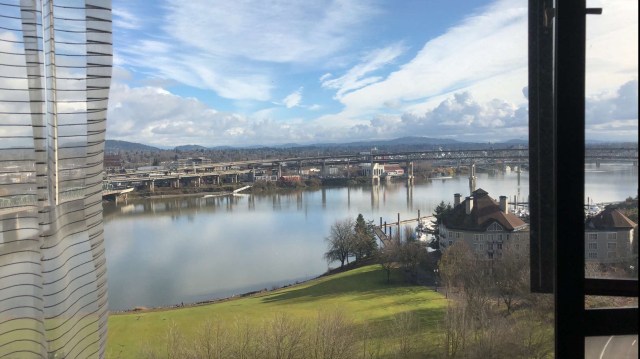 The View